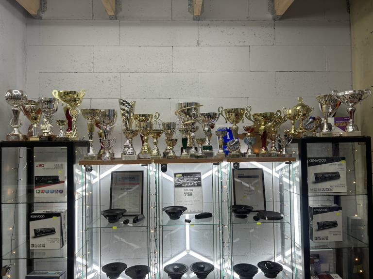 ArtSound karikad meist 1